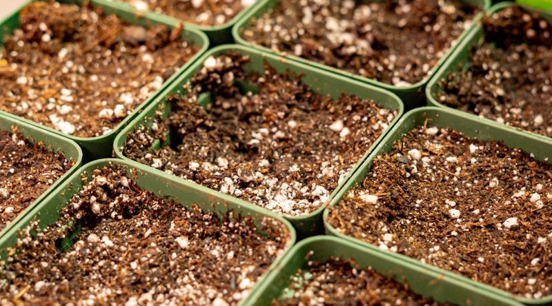 Customization for Specific Plants