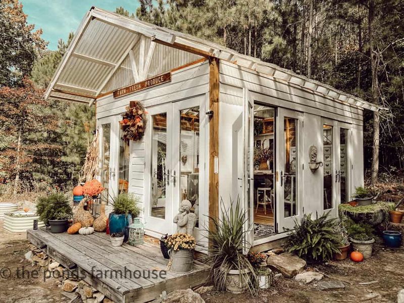 DIY Greenhouse Adventures