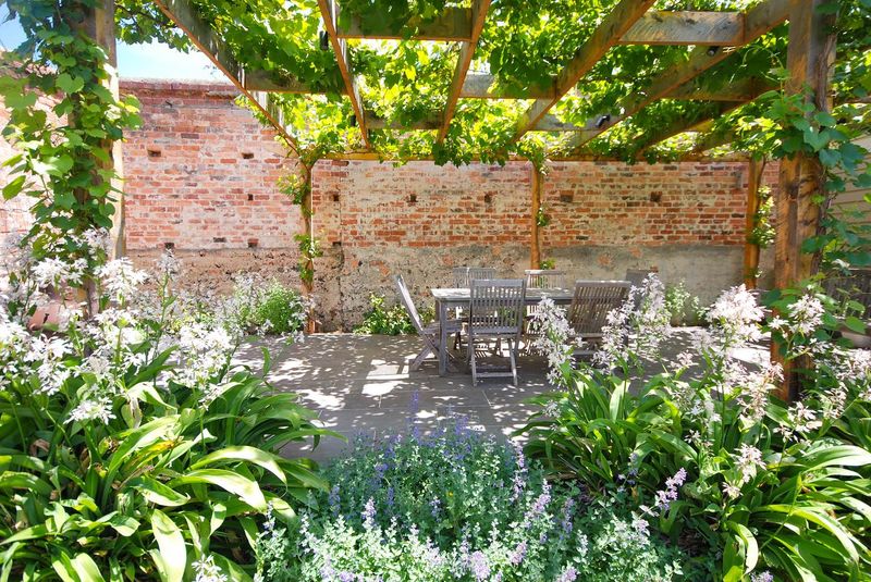 Dappled Shade for Delicate Plants