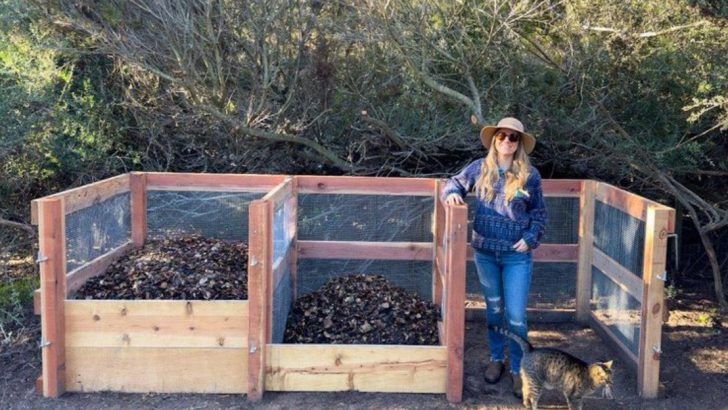 Dead Plant Goldmine: 13 Ways to Turn Your Garden Failures Into Next Year’s Success