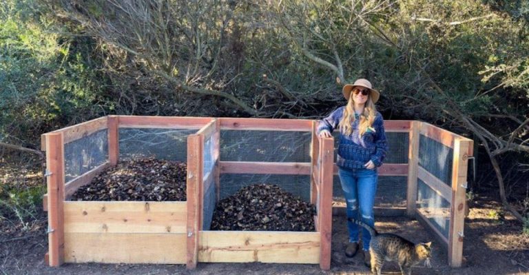 Dead Plant Goldmine: 13 Ways to Turn Your Garden Failures Into Next Year’s Success