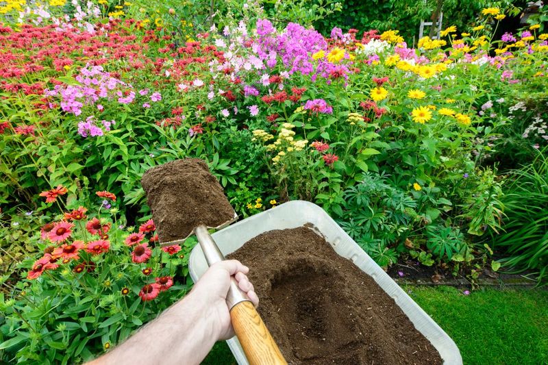 Add Compost