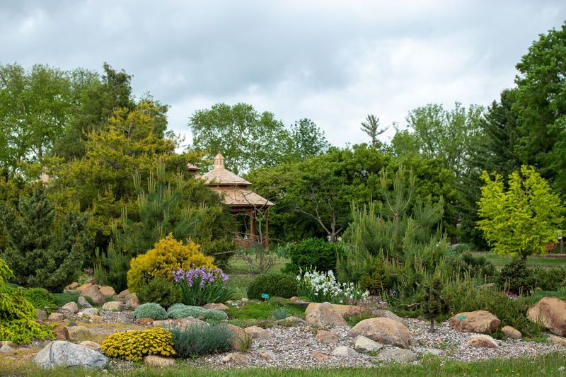 Alpine Retreat