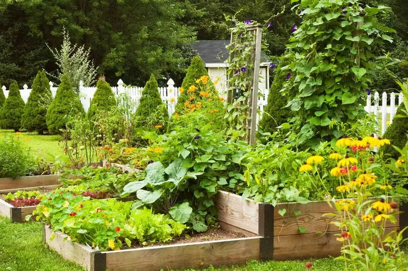 Herb and Vegetable Garden