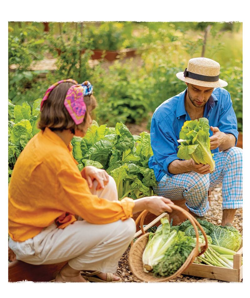 Community Vegetable Garden