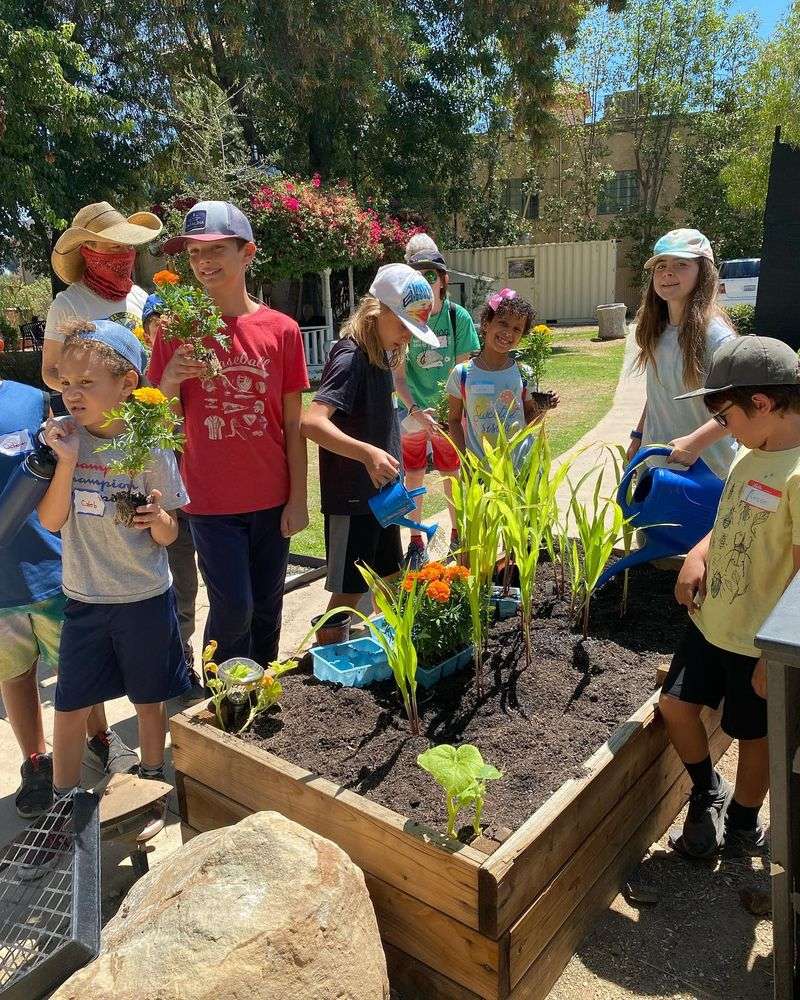 Organizing Garden Workshops for Kids