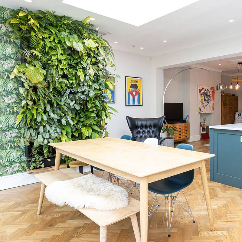 Indoor Green Wall