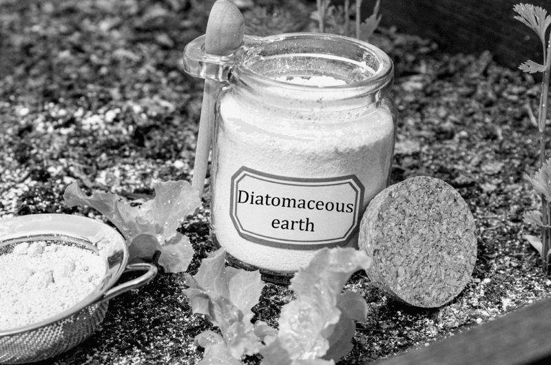 Diatomaceous Earth