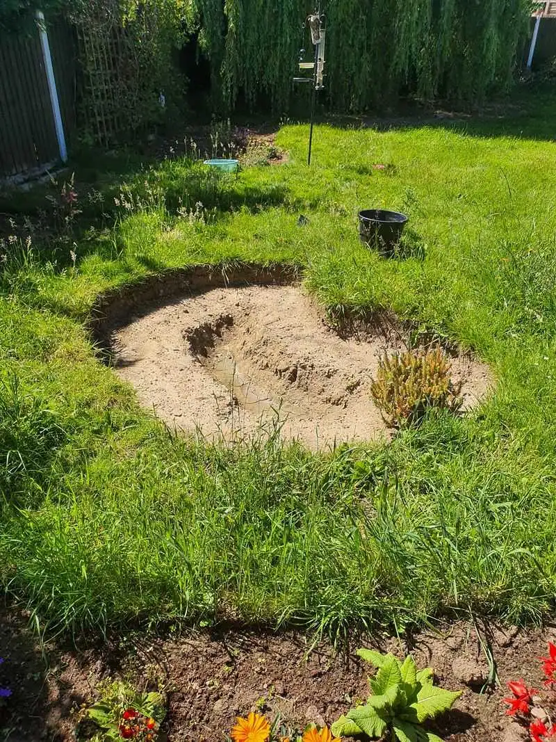 Dig the Pond