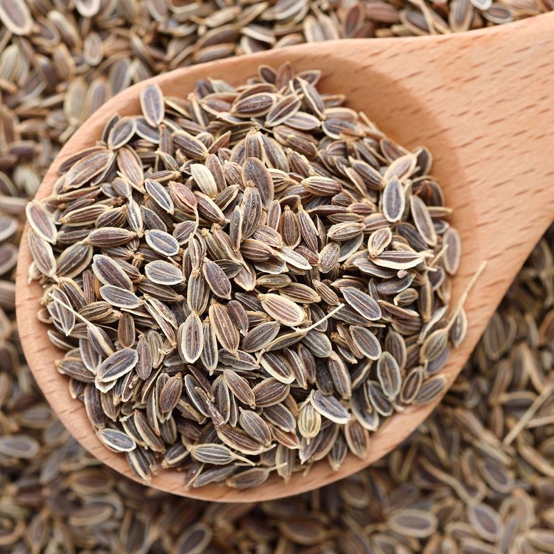 Dill