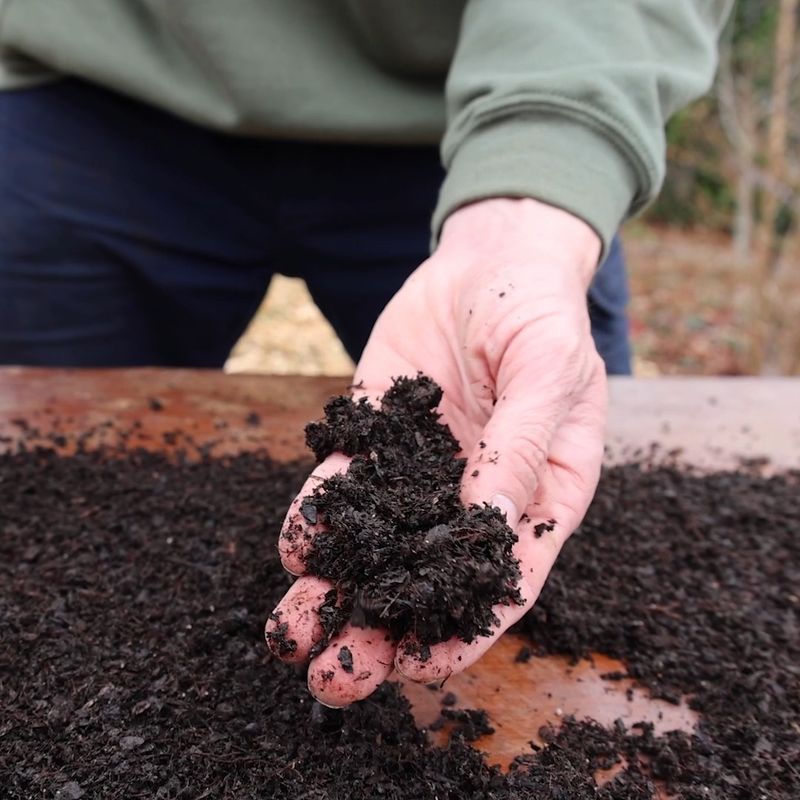Discovering Soil Health