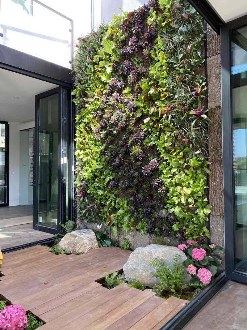 Creating a Living Wall