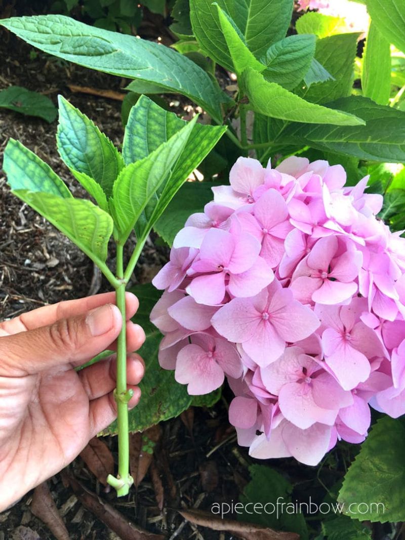 Easy to Propagate