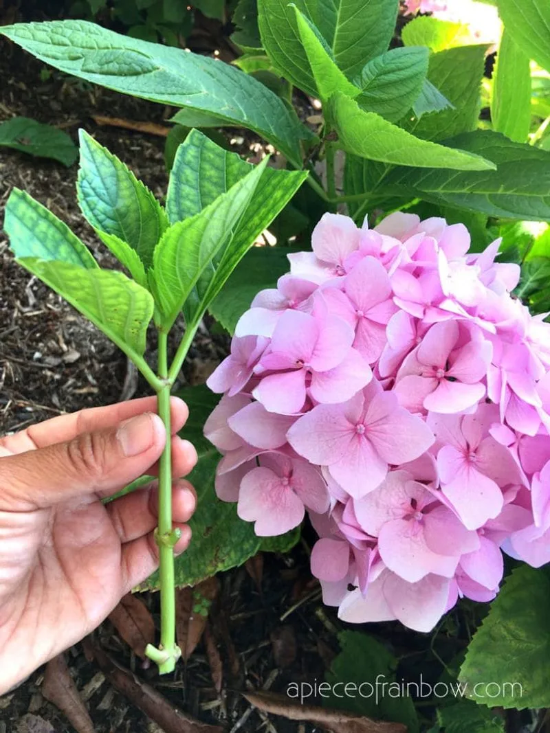 Easy to Propagate