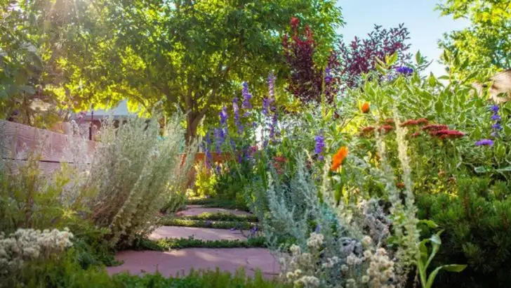 East Coast vs West Coast: 15 Reasons Your Garden Plan Might Not Work