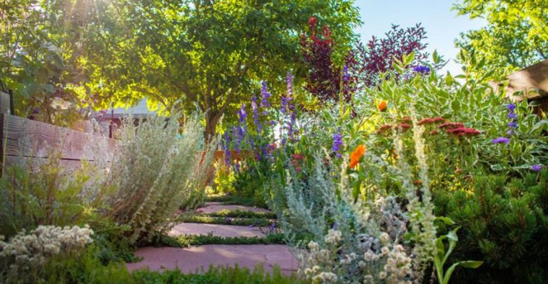 East Coast vs West Coast: 15 Reasons Your Garden Plan Might Not Work