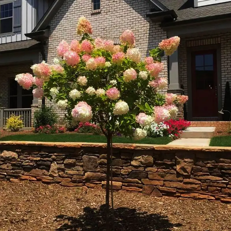 Adds Value to Property