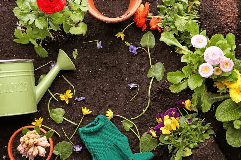 Eco-Friendly Gardening
