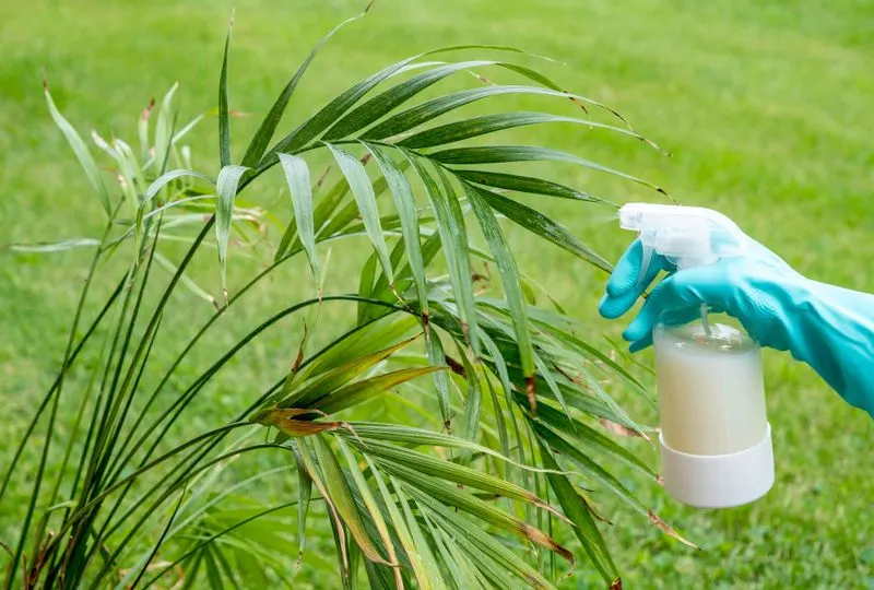 Eco-Friendly Solution