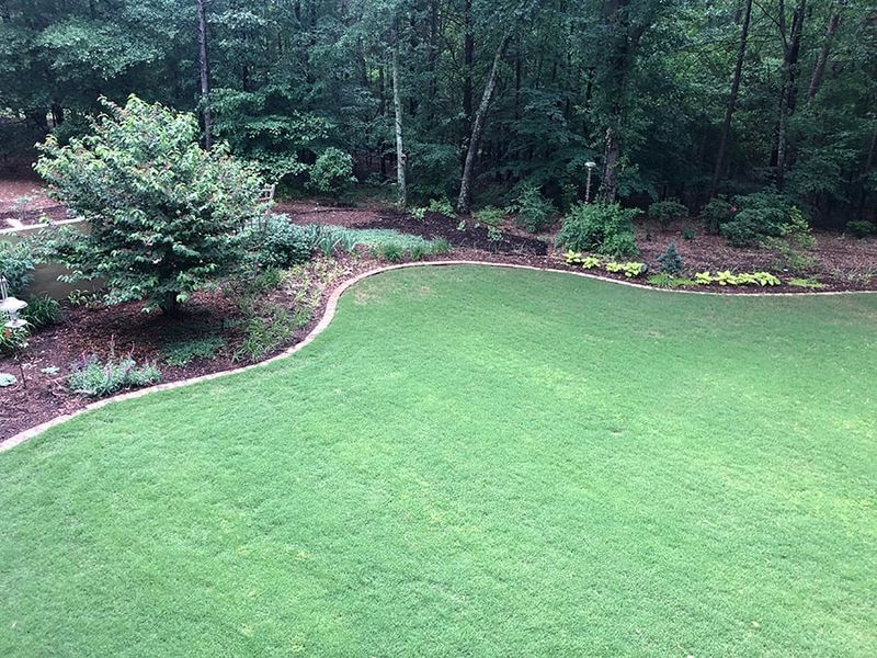 Edge and Trim for Definition