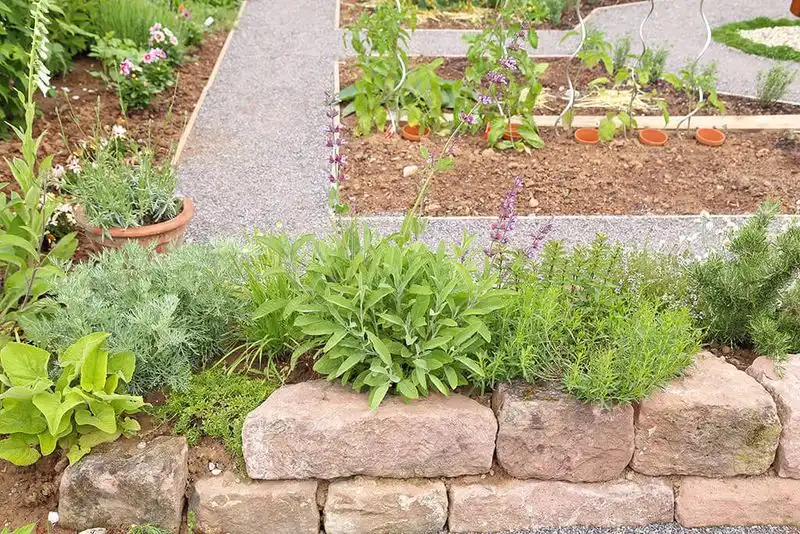 Edible Borders