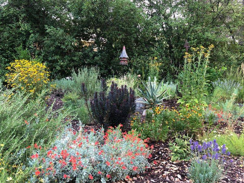 Native Plant Garden