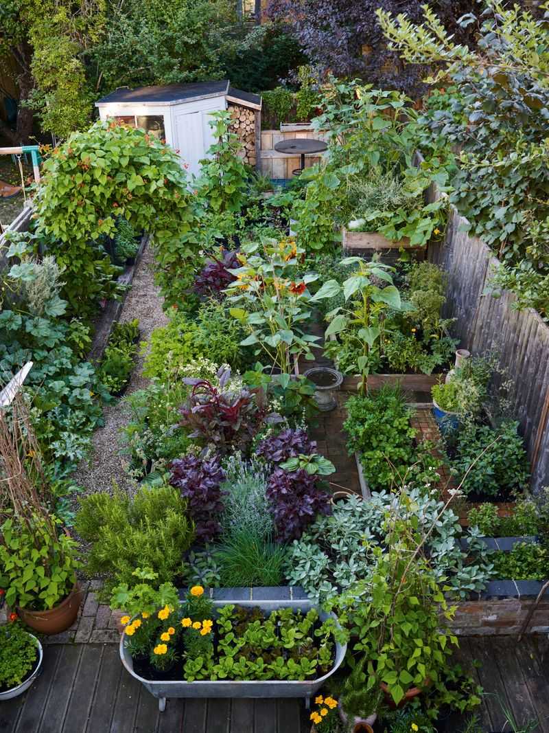 Edible Landscaping