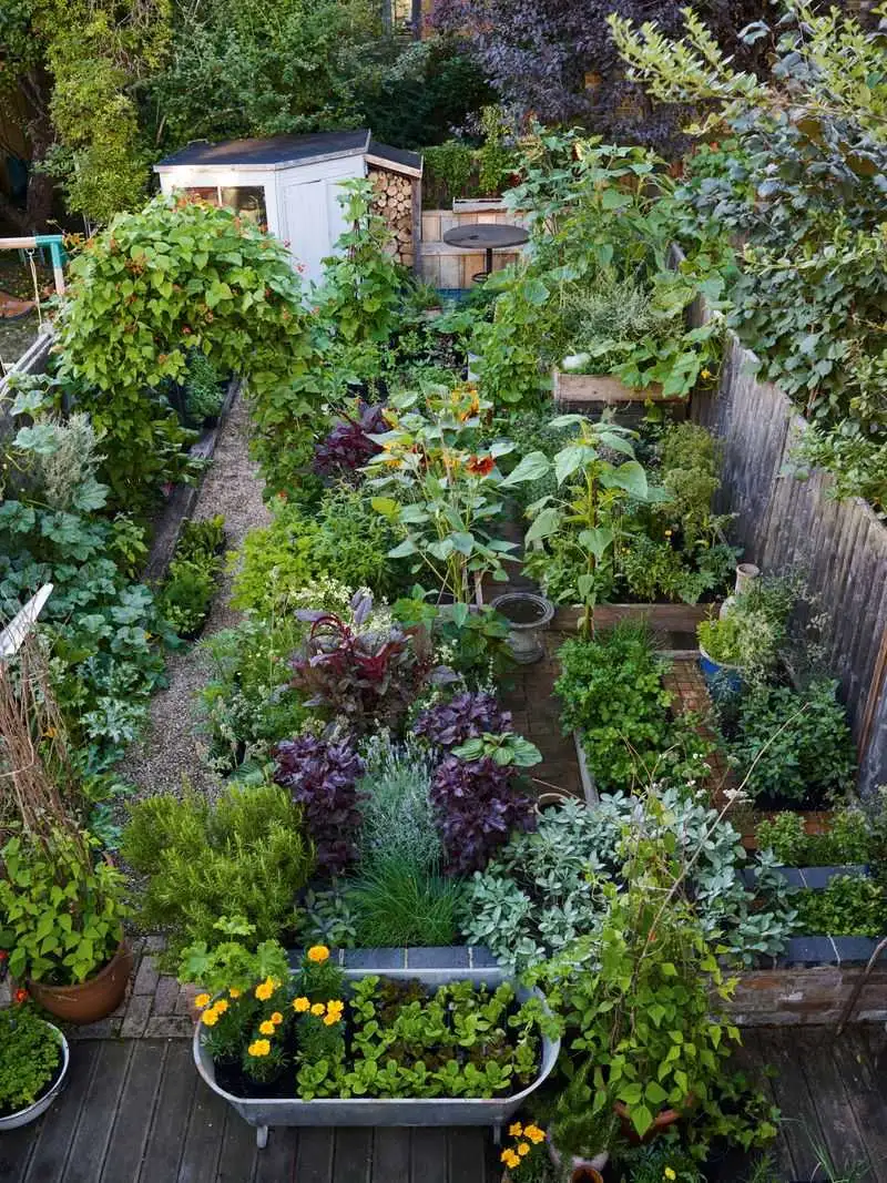 Edible Landscaping