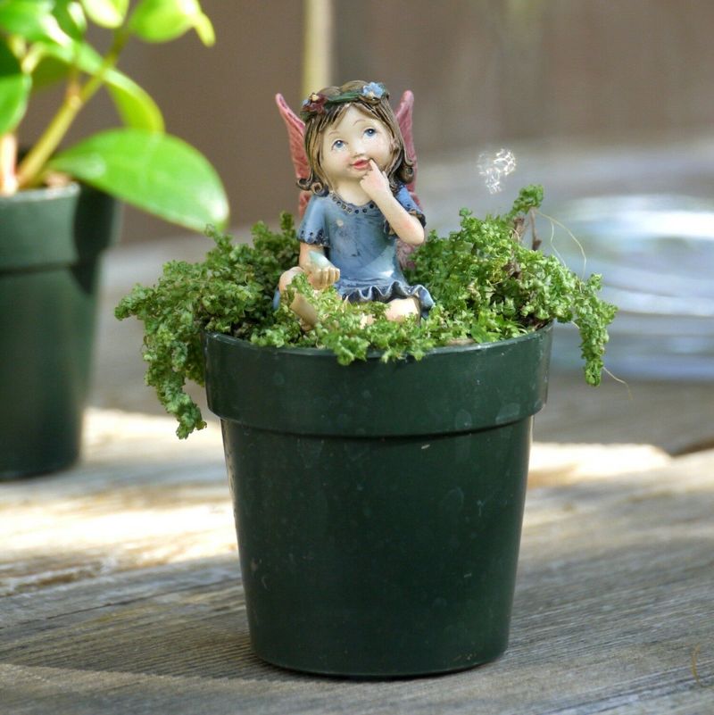 Miniature Gardens