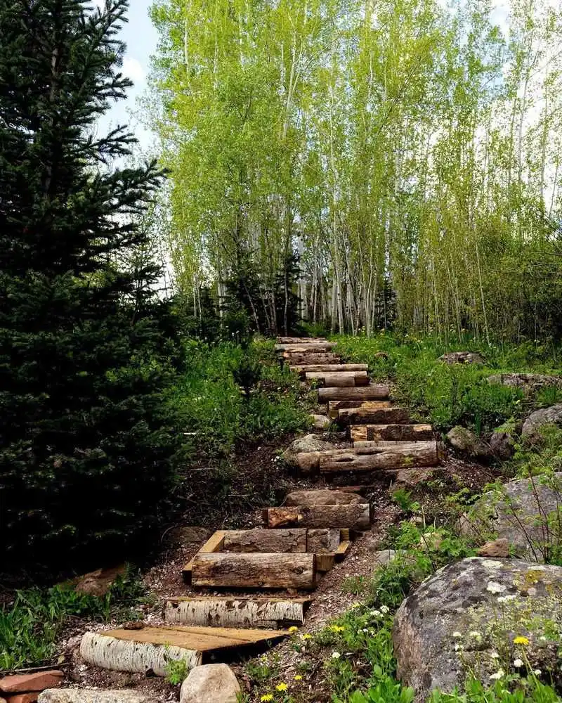 Wildflower Retreat