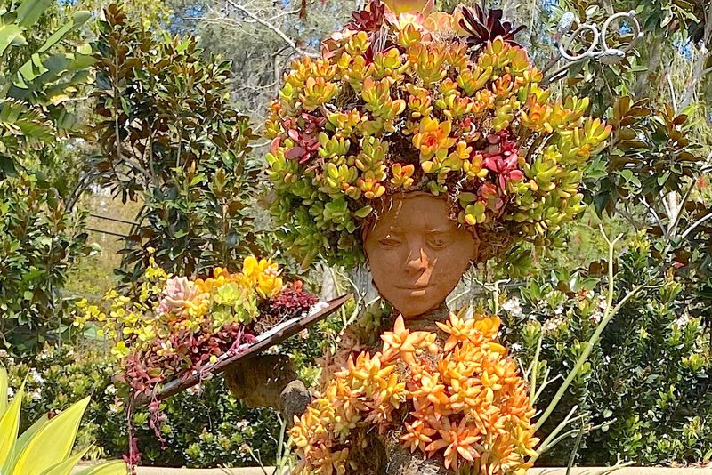 Succulent Sculpture Garden
