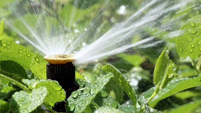 Efficient Watering