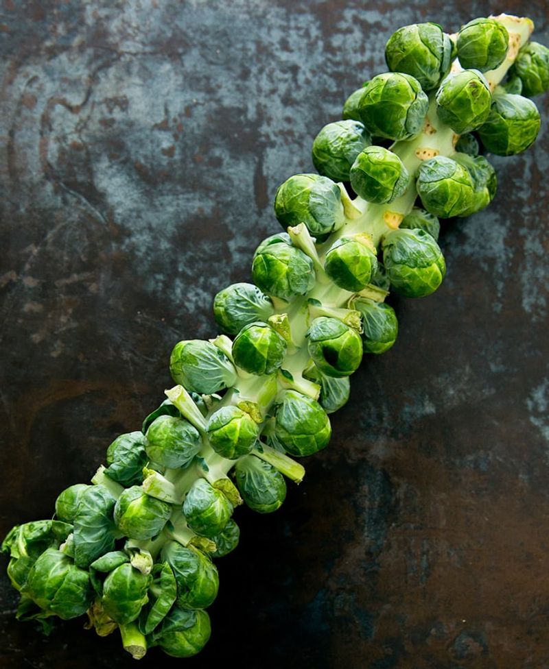 Brussels Sprouts