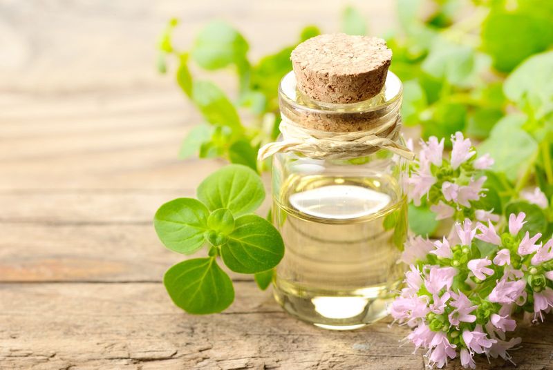 Essential Oils for Pests