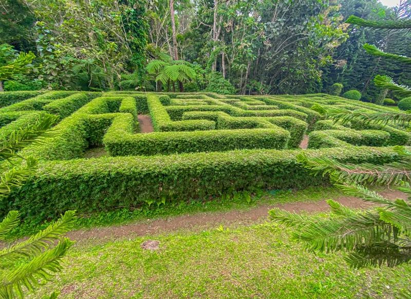 Playful Garden Maze