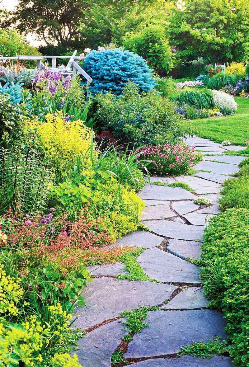 Traditional Pathways