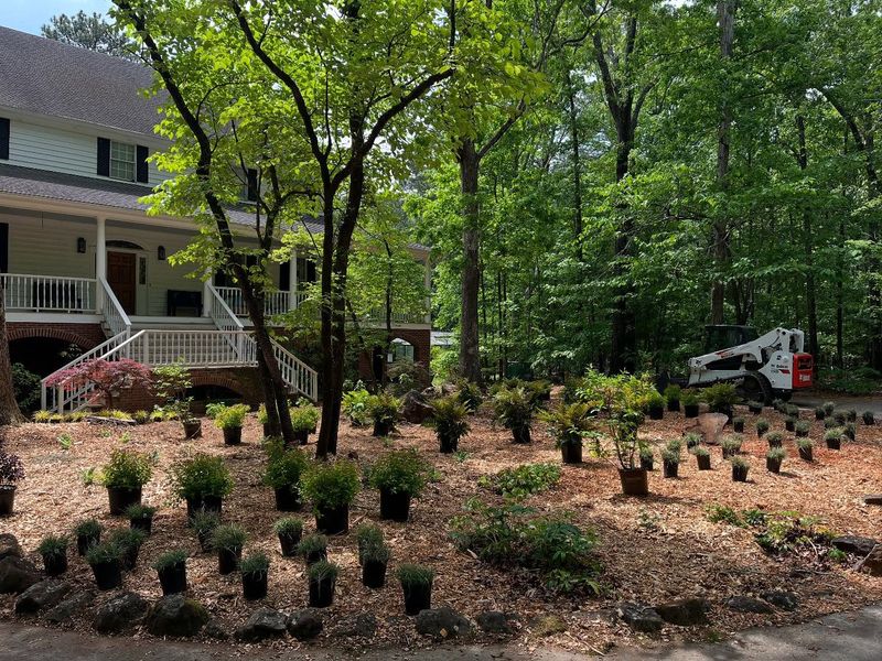 Engaging in Forest Gardening