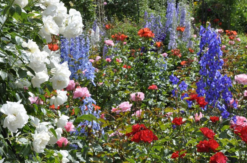 Enhanced Biodiversity