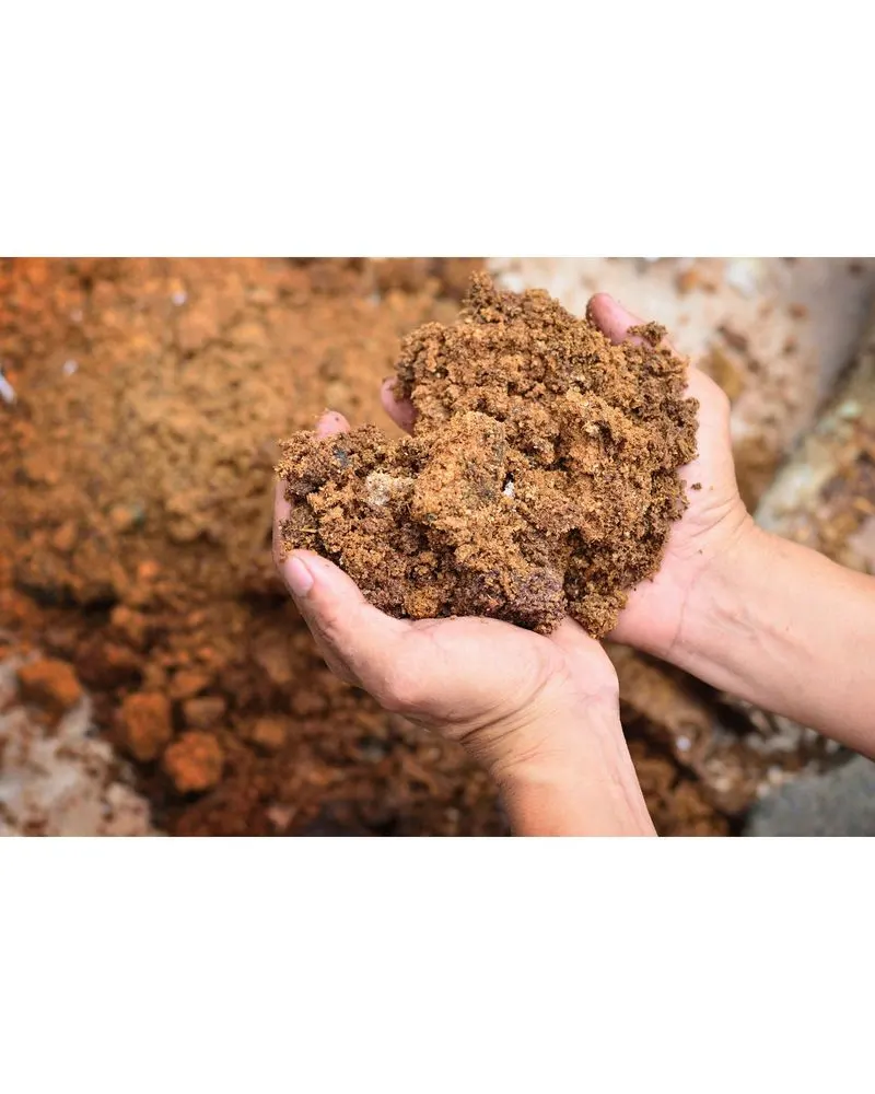 Enhanced Nutrient Cycling