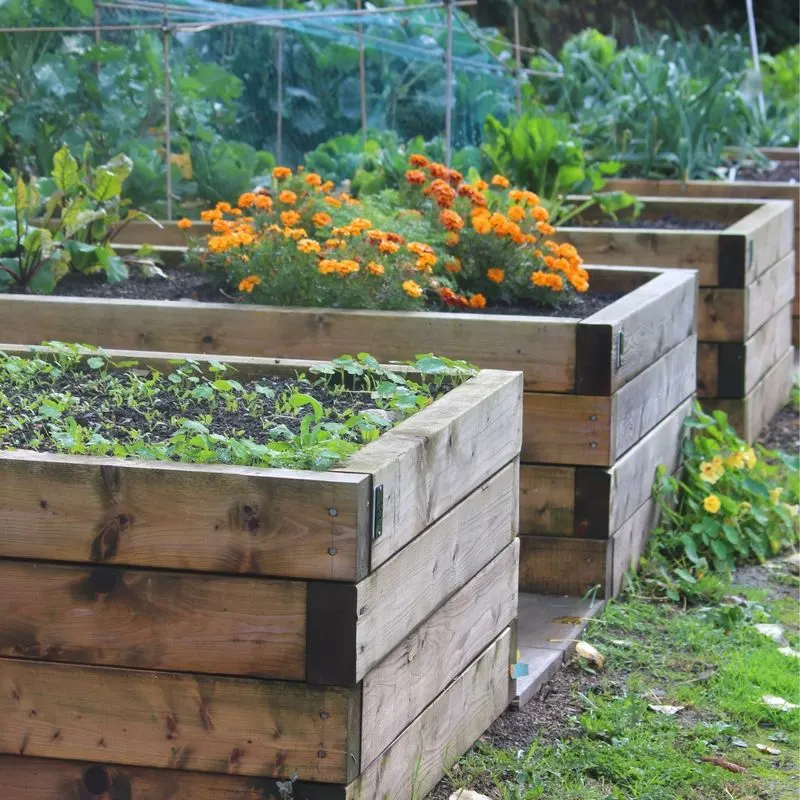 Enhanced Soil Health