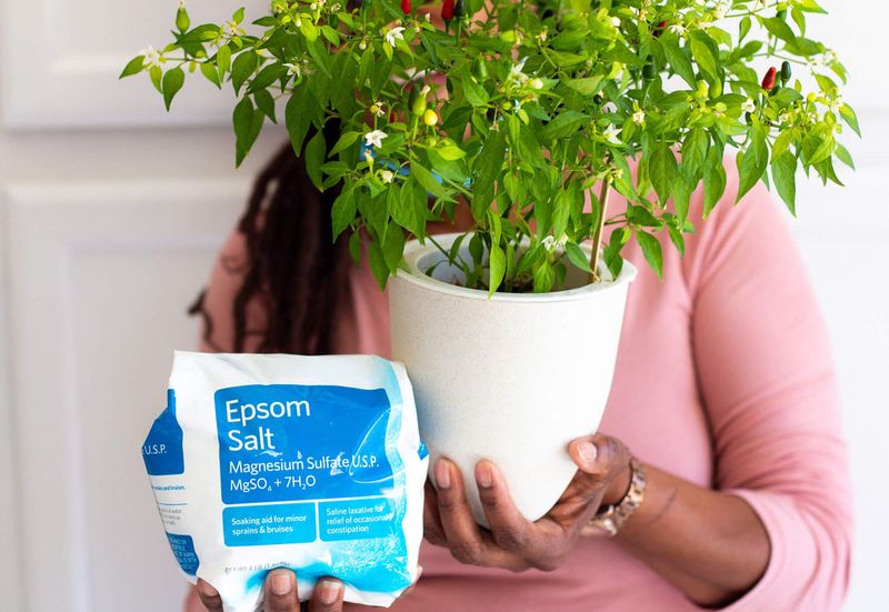 Epsom Salt Mixture