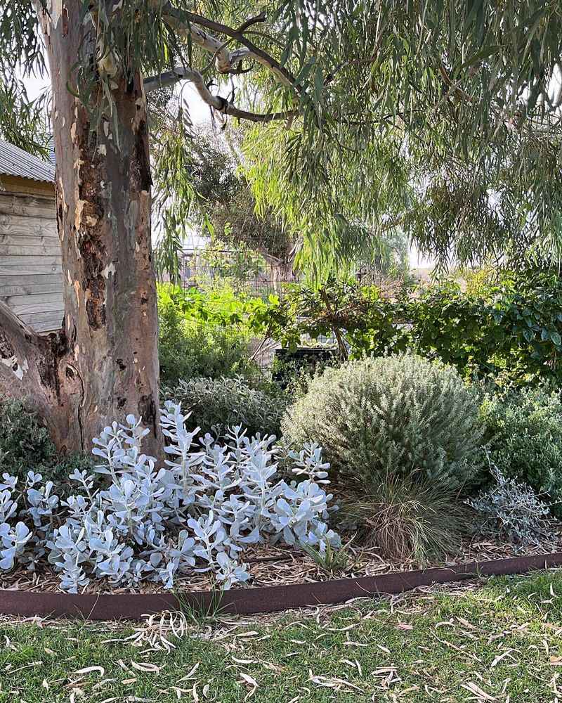 Eucalyptus: The Woodland Whisperer