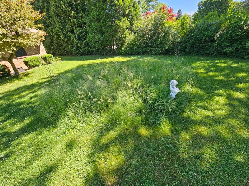 Mowed Lawns with Ornamental Edges