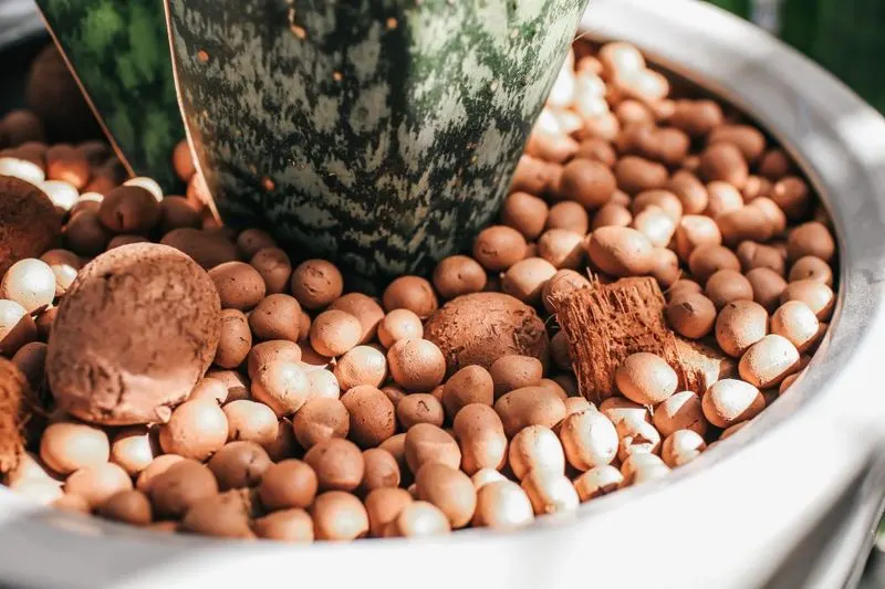 Expanded Clay Pellets