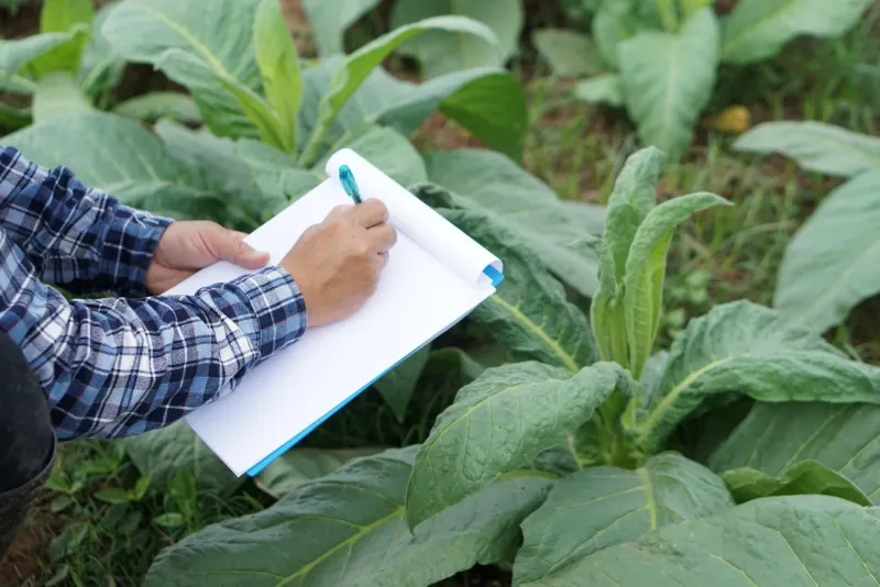 Run a Plant Autopsy