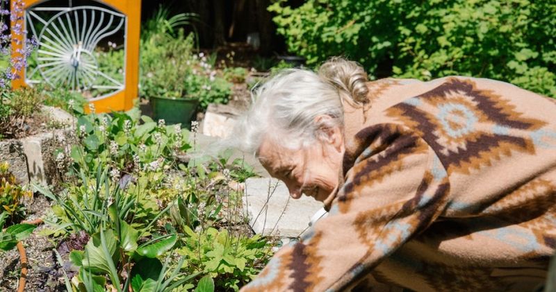 Creating a Memory Garden