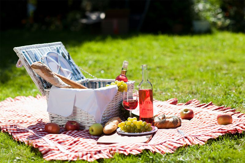 Participating in Garden Picnics