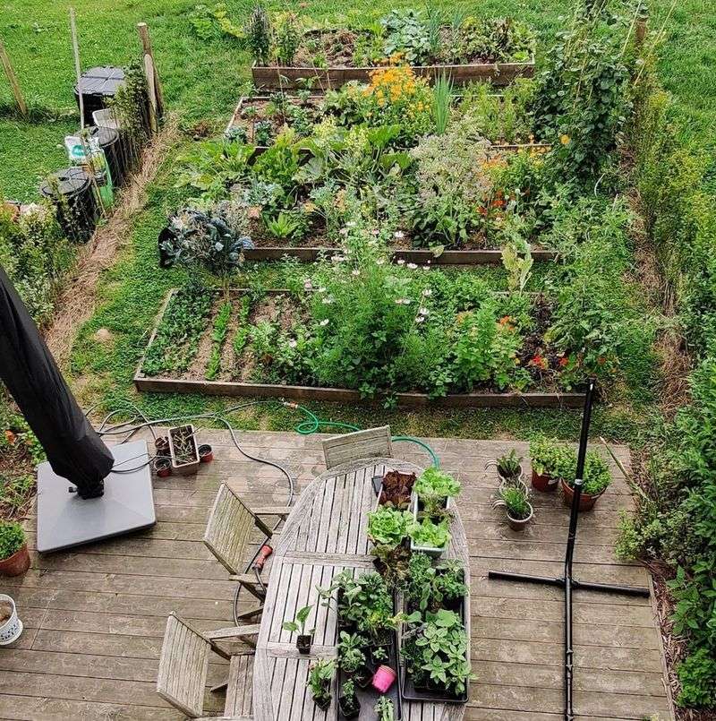 Exploring Permaculture