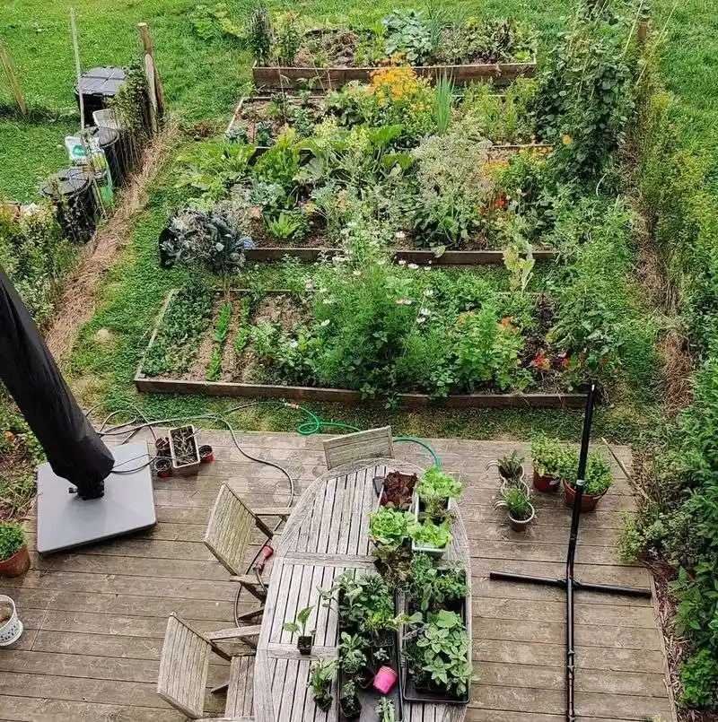 Exploring Permaculture