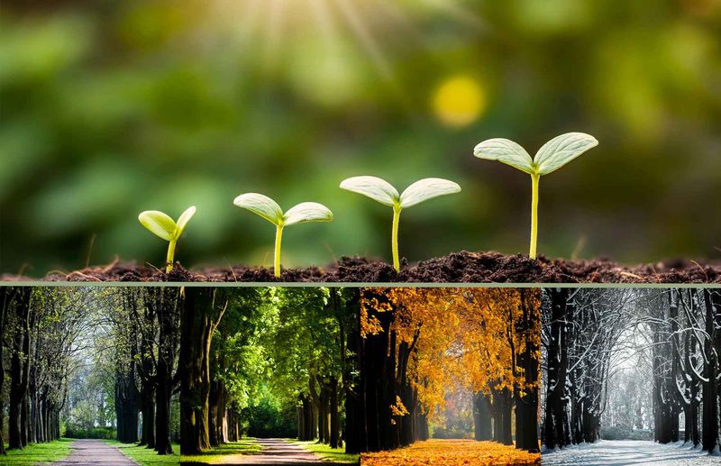 Extend the Growing Season